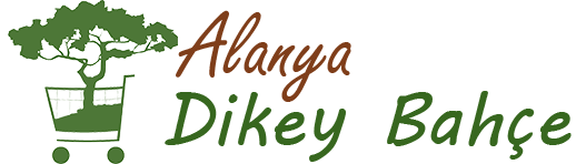 Alanya Dikey Bahçe