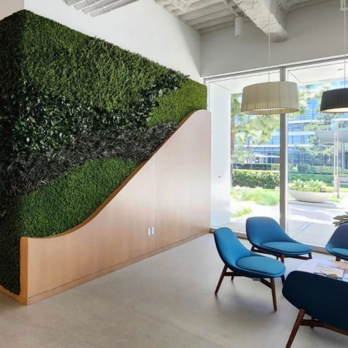 Pole Moss & Kutup Yosunu