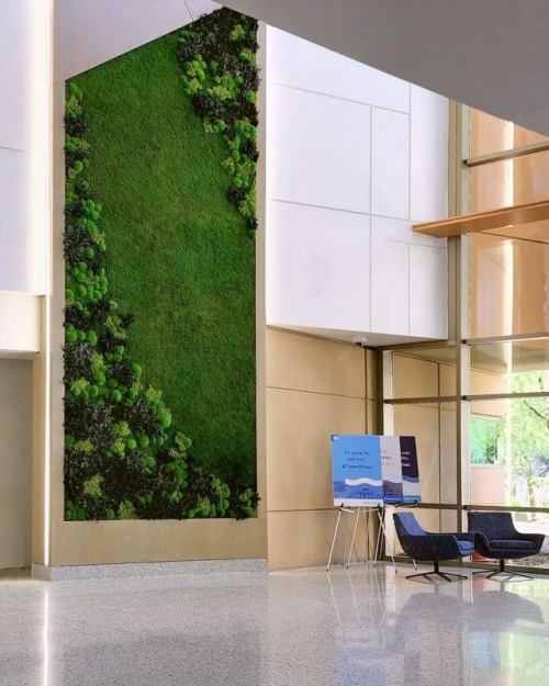 Pole Moss & Kutup Yosunu