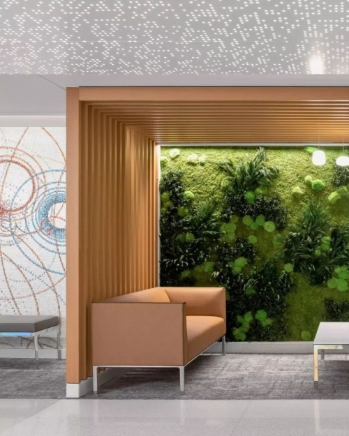 Pole Moss & Kutup Yosunu