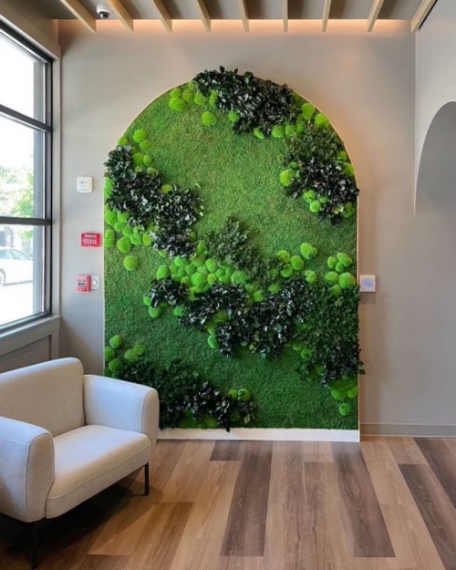 Pole Moss & Kutup Yosunu