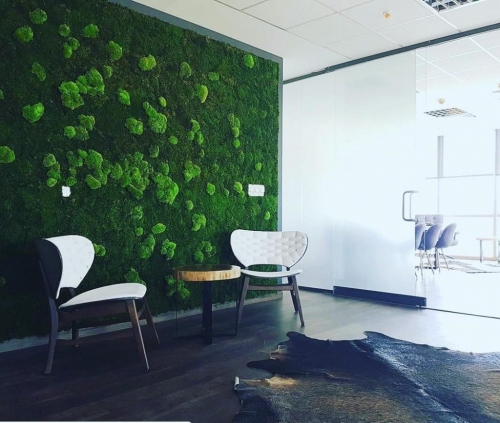 Pole Moss & Kutup Yosunu